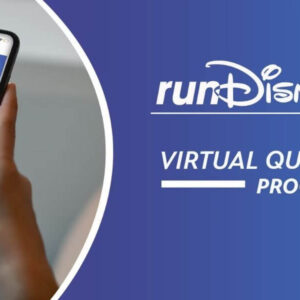 Disney Virtual Queue Work
