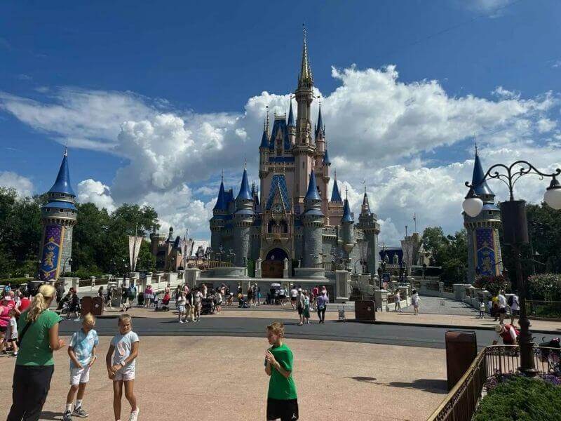 people visit Disney World a day