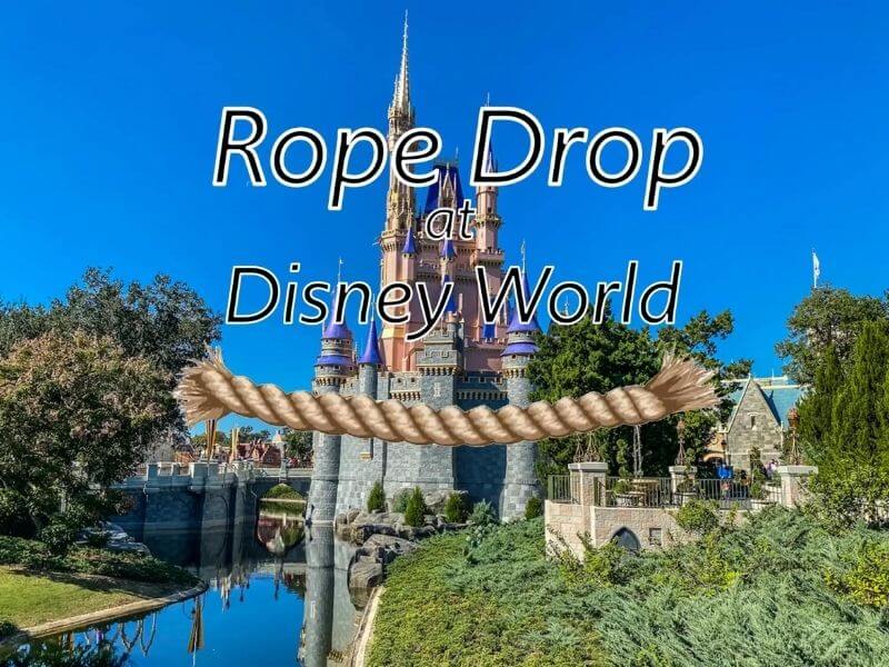Rope Dropping at Disney