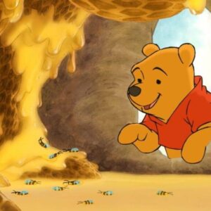 Winnie The Pooh banned in Poland